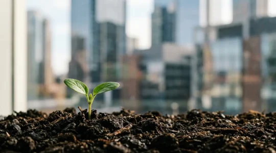 Investissement en private equity pour particuliers : accompagner la croissance d'entreprises non cotées